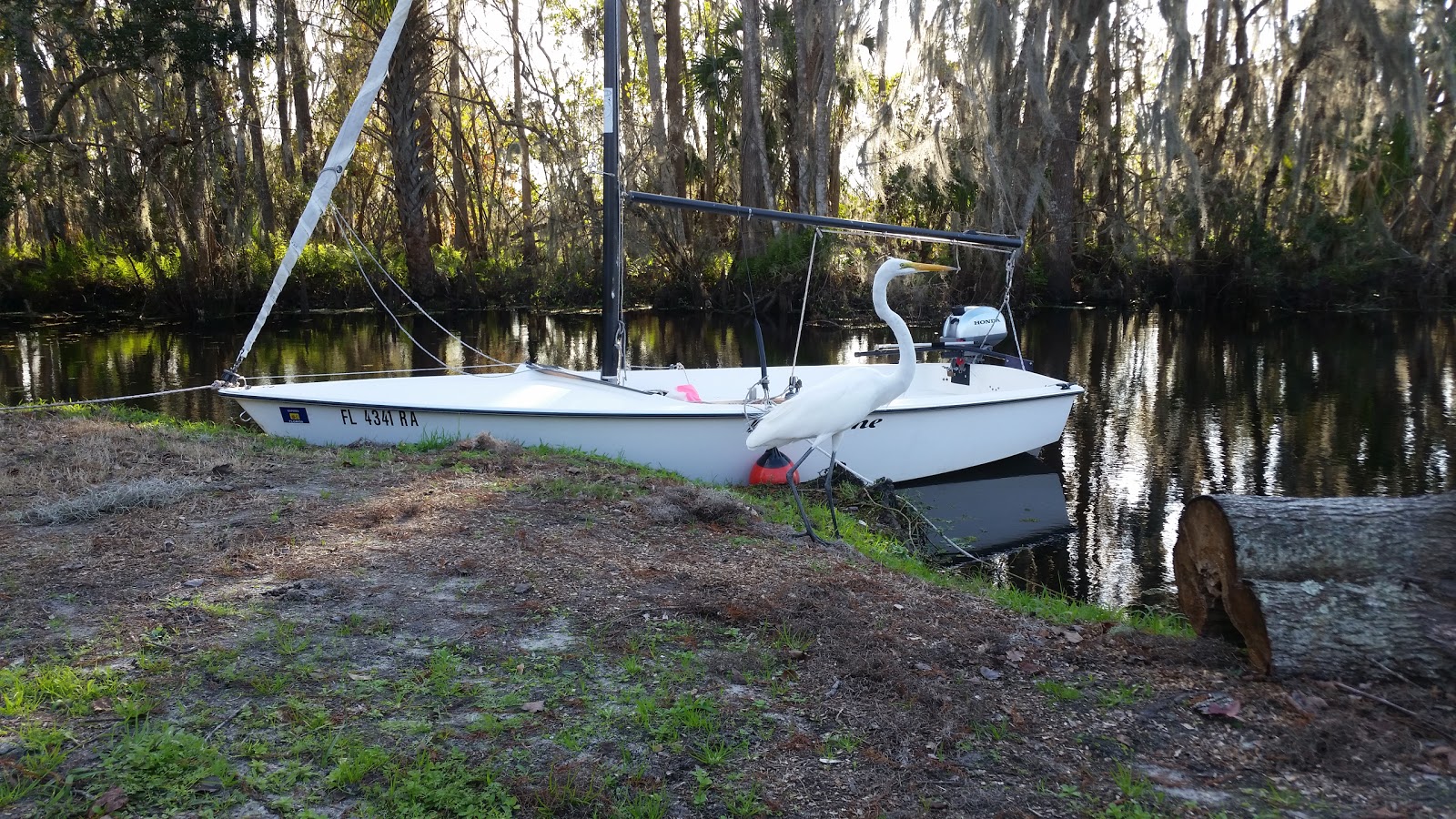 Bull Creek Campground & Marina