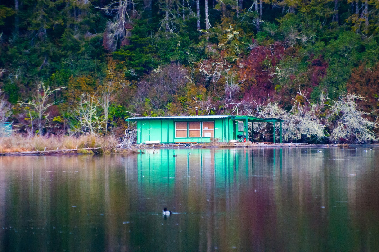 Tahkenitch Landing Campground