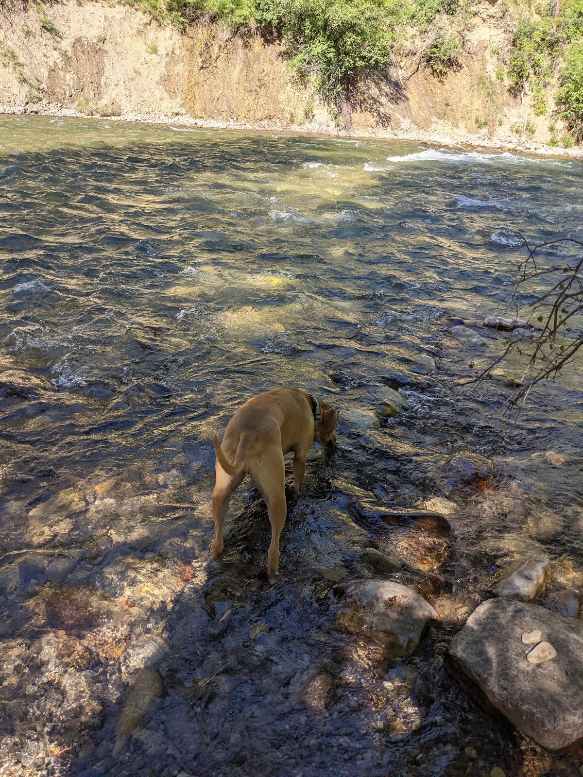Forest Park Campground