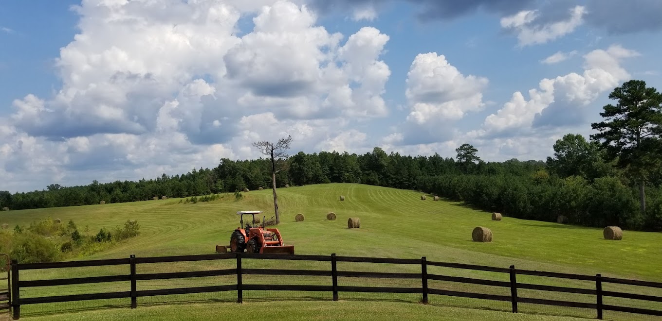 Shark Tooth Creek Outdoor Adventures