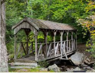 Willard Brook State Forest