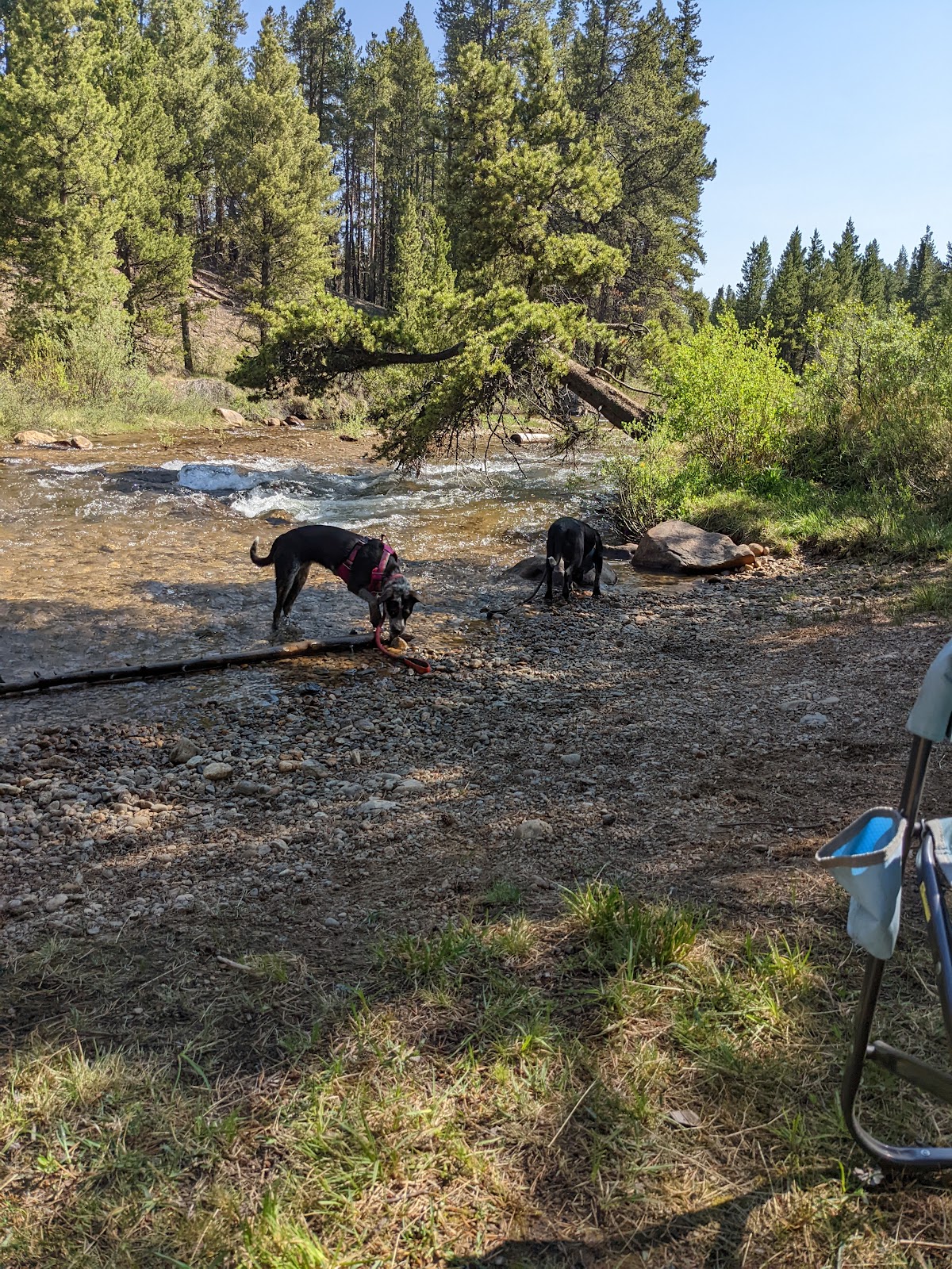 Halfmoon East Campground