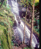 Cosby Run Campground