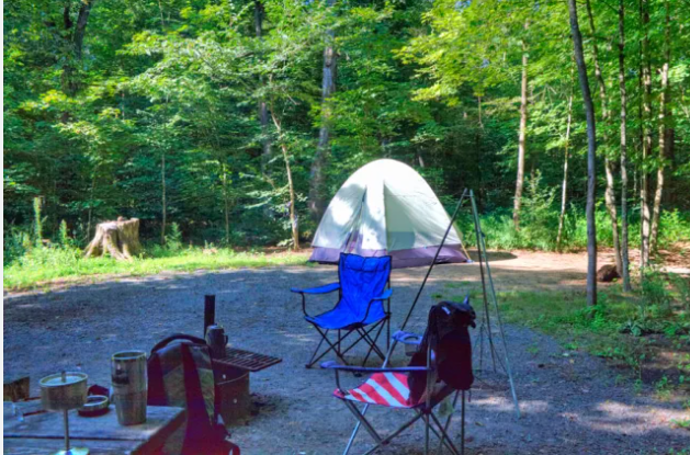 Riverway - William O Brien State Park