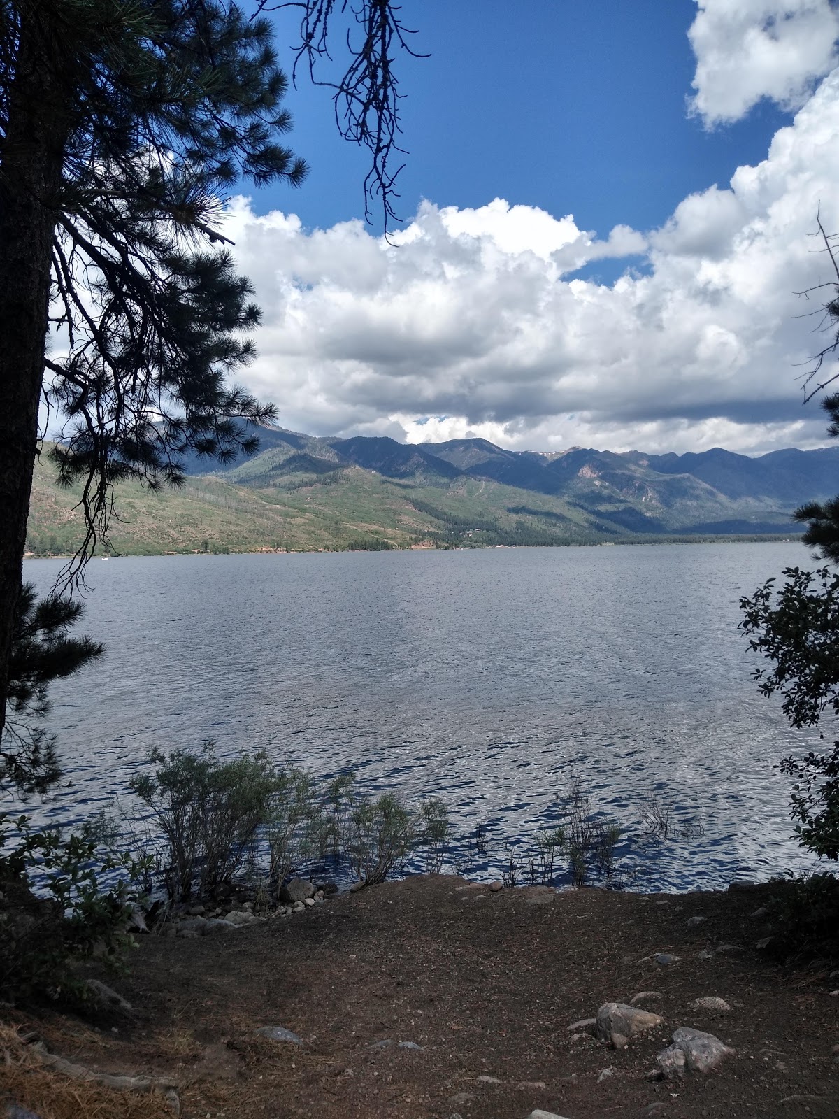 Pine Point Campground