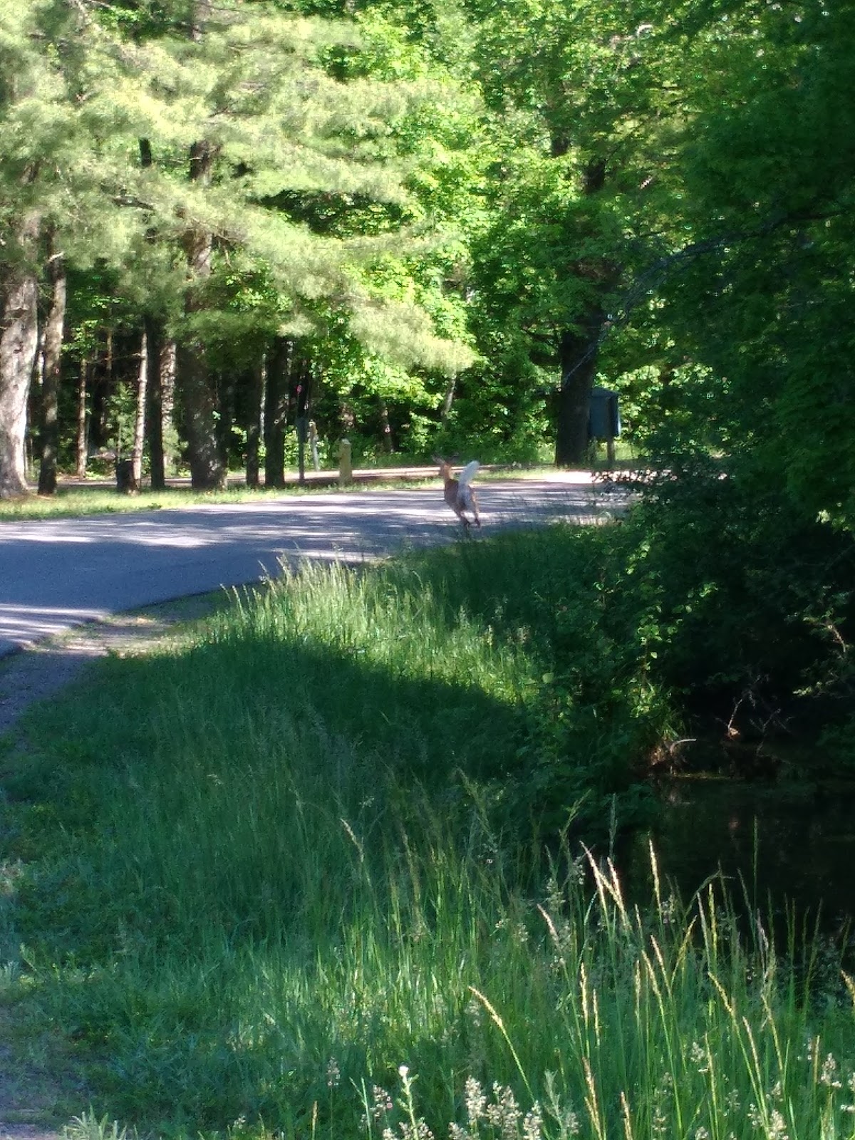 Merlin Lambert County Park
