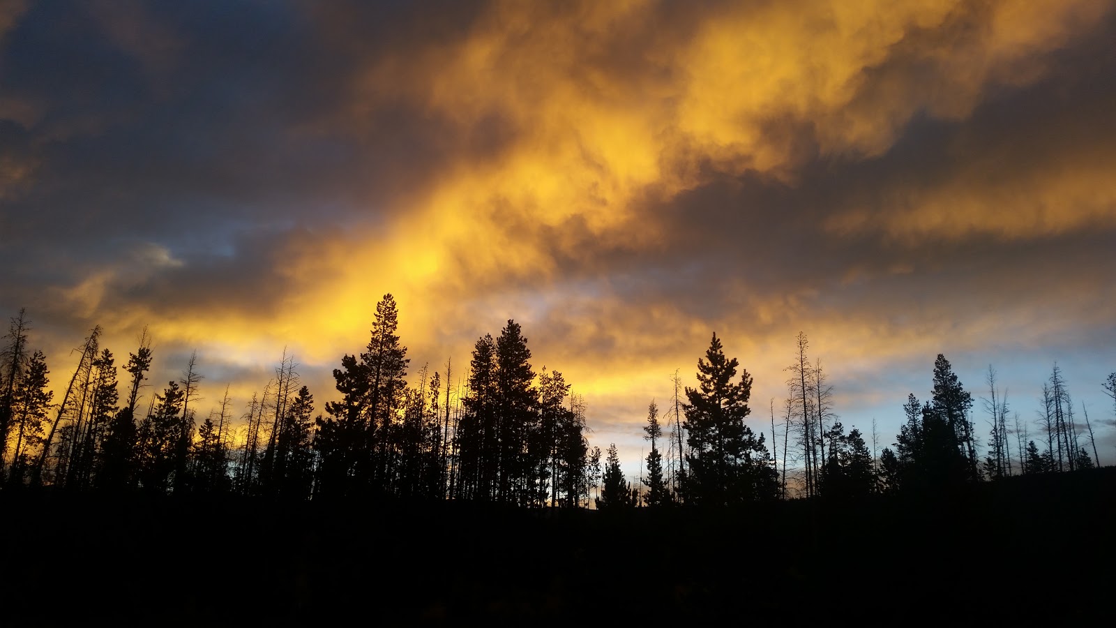 St Louis Creek Campground