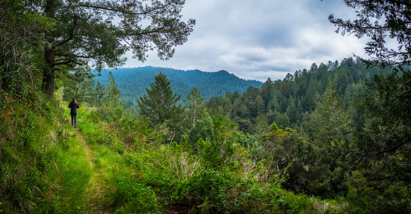 Memorial County Park