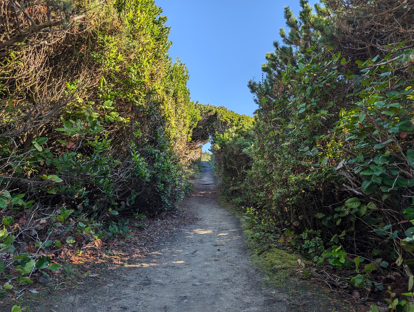Carl G Washburne Memorial State Park