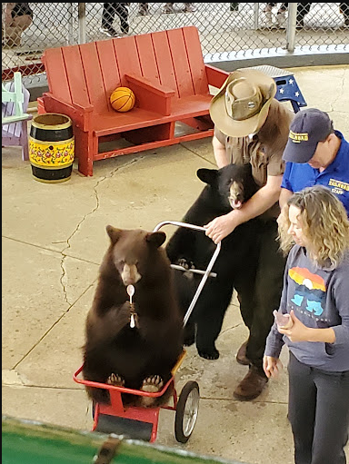 Clark's Trading Post