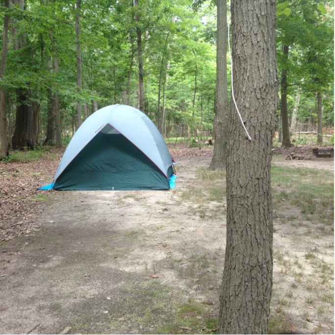 Cheesequake State Park