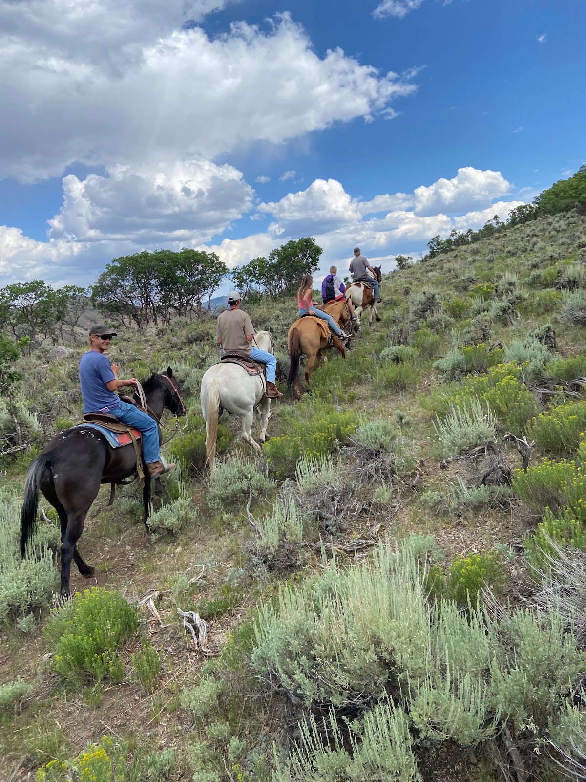 Ferro's Blue Mesa Ranch