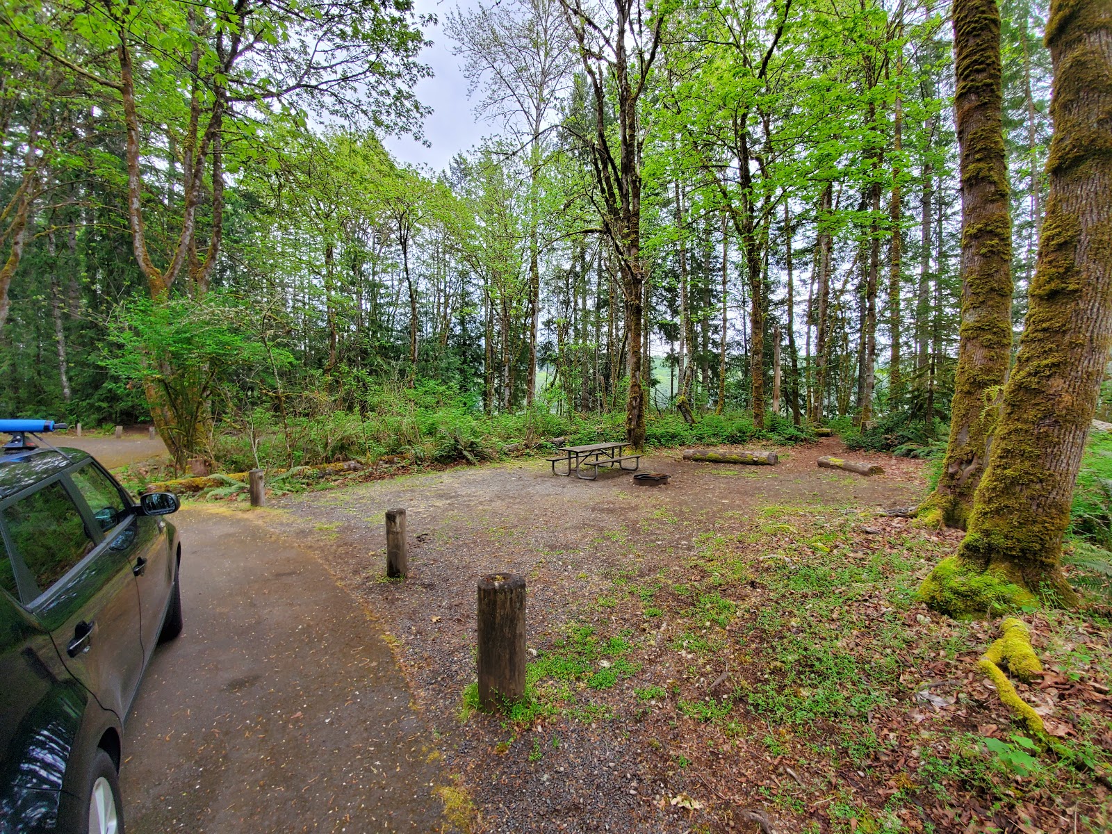 Ike Kinswa State Park