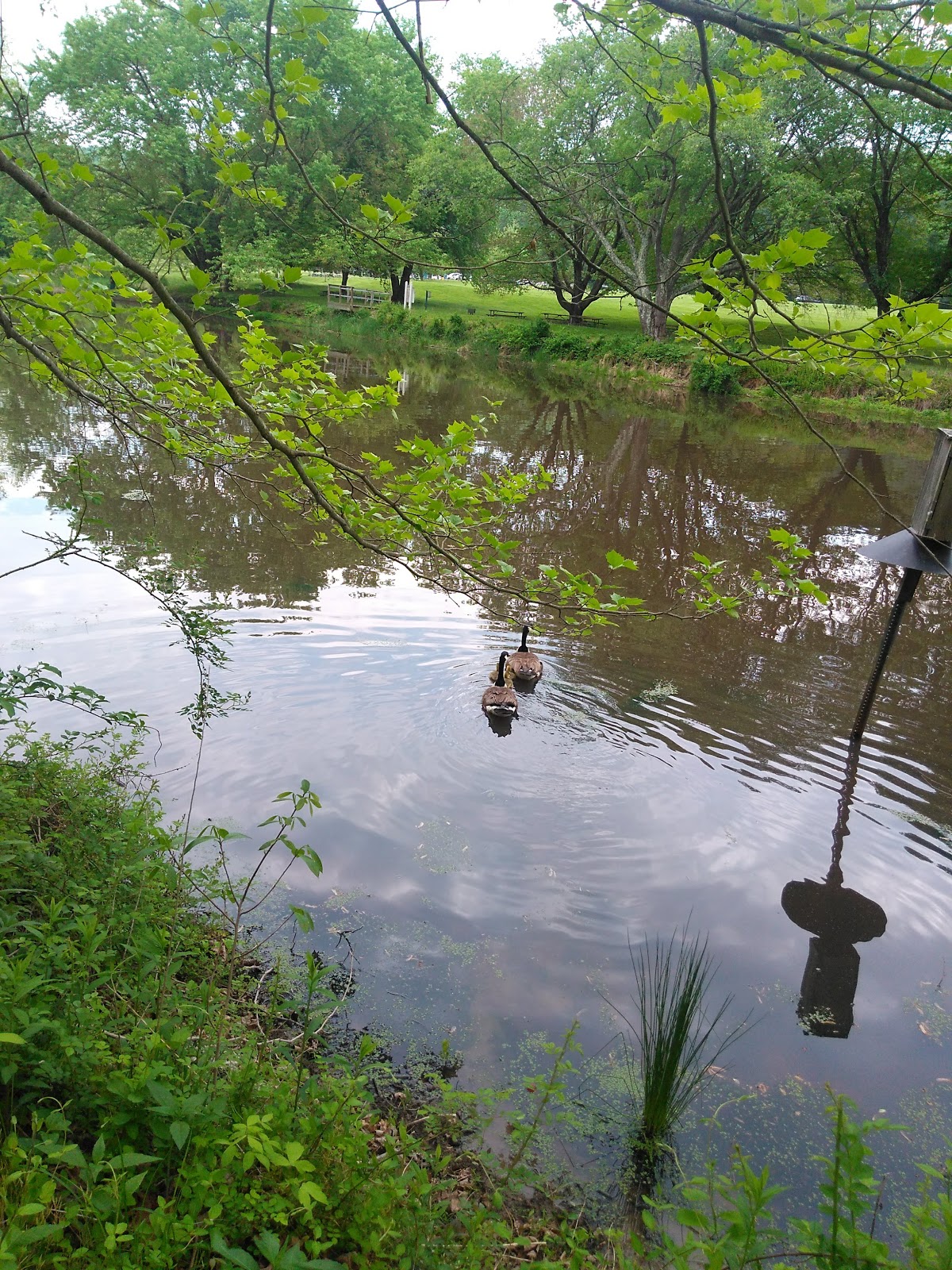 Susquehanna State Park Campground