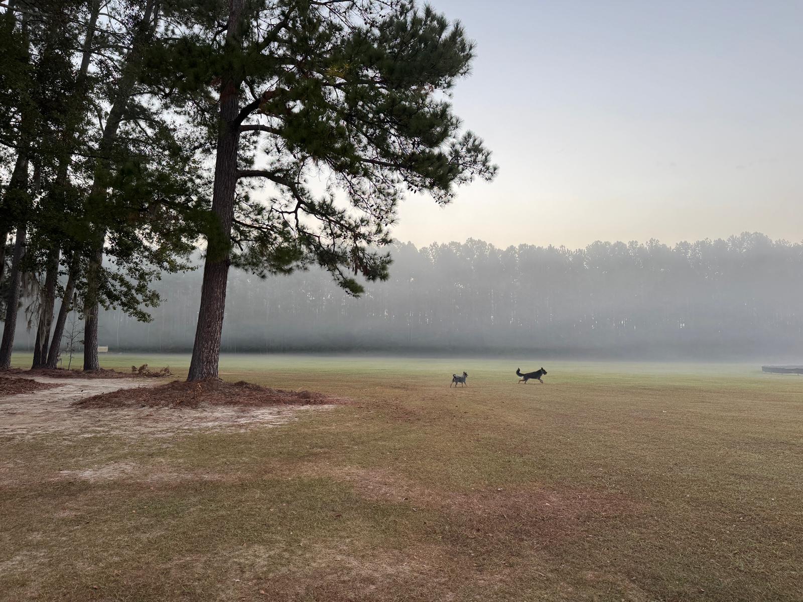 Broxton Bridge Plantation Camping