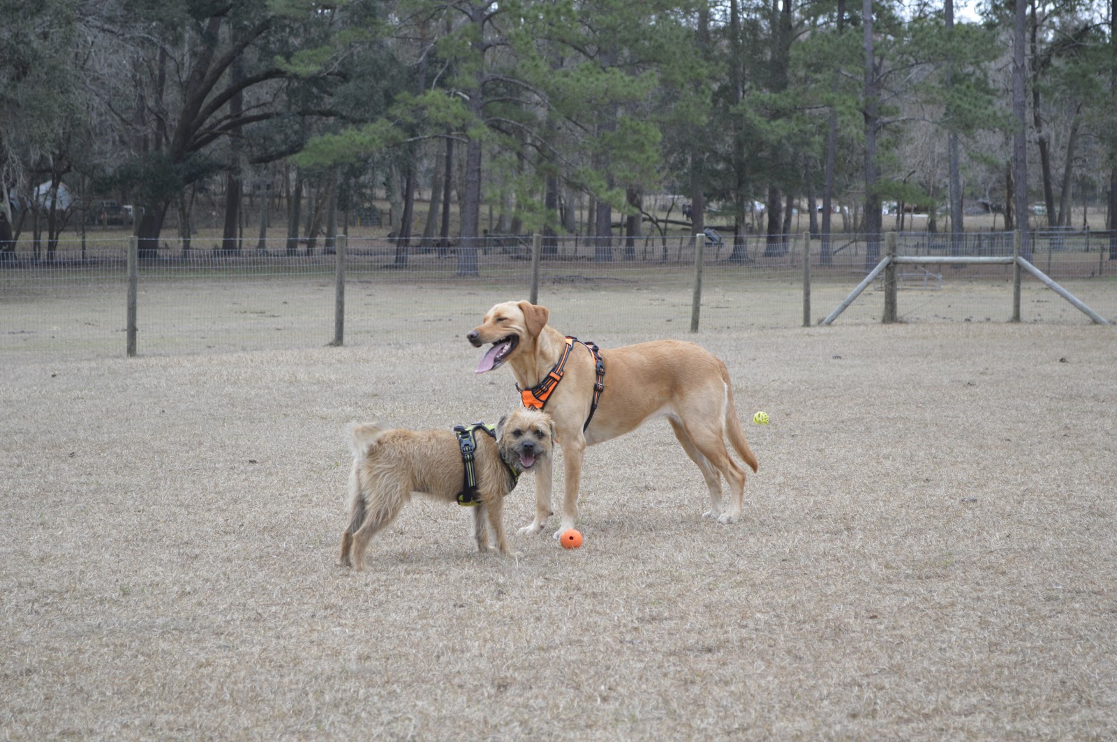 Traveler's Campground