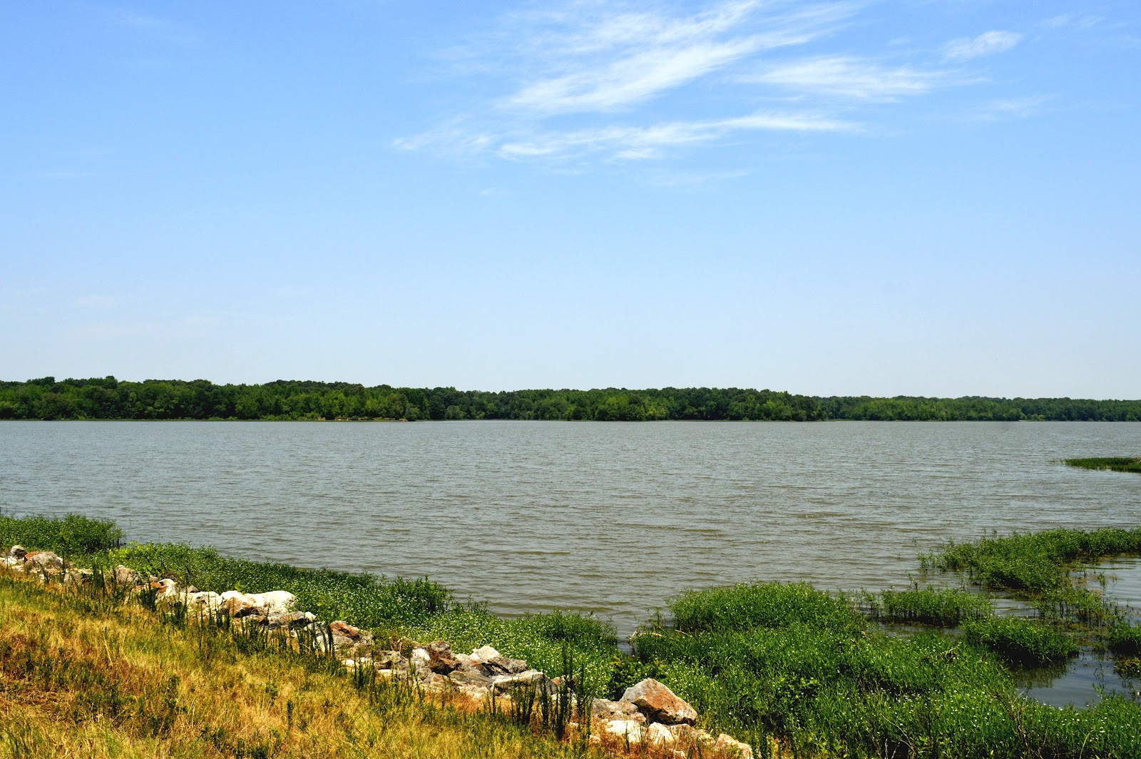 Lake Frierson State Park