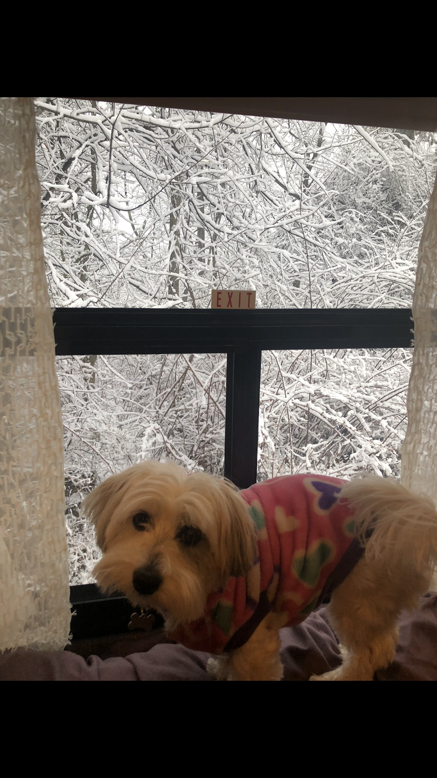 Big G’s RV Campground