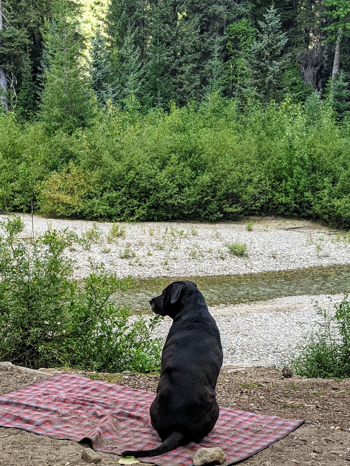 Atkinson Flat Campground