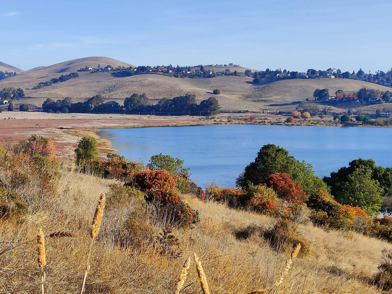 Benicia State Rec Area