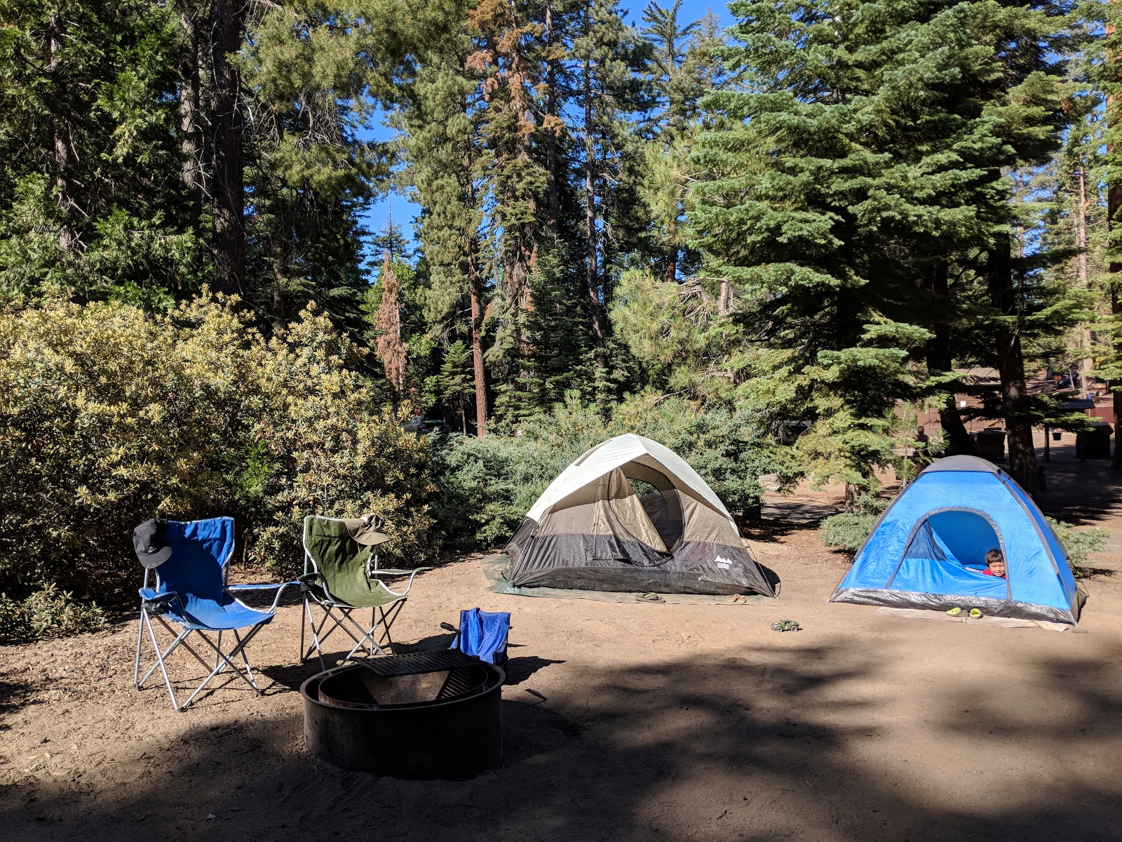 Sunset Campground - Kings Canyon National Park