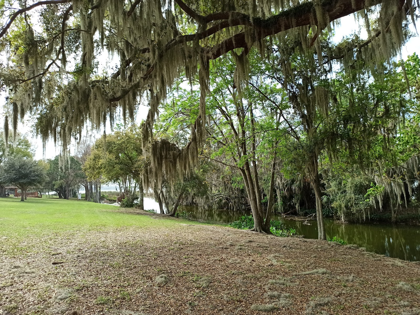 Magnolia County Park