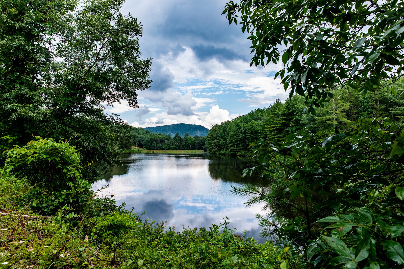 Cold Sulphur Camp Ground