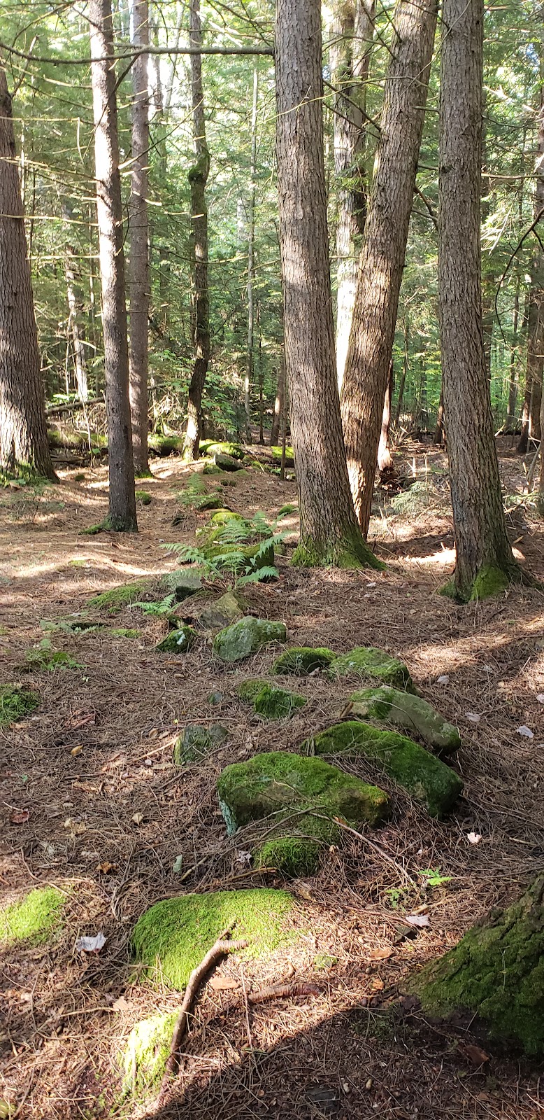 Fernwood Forest Campground