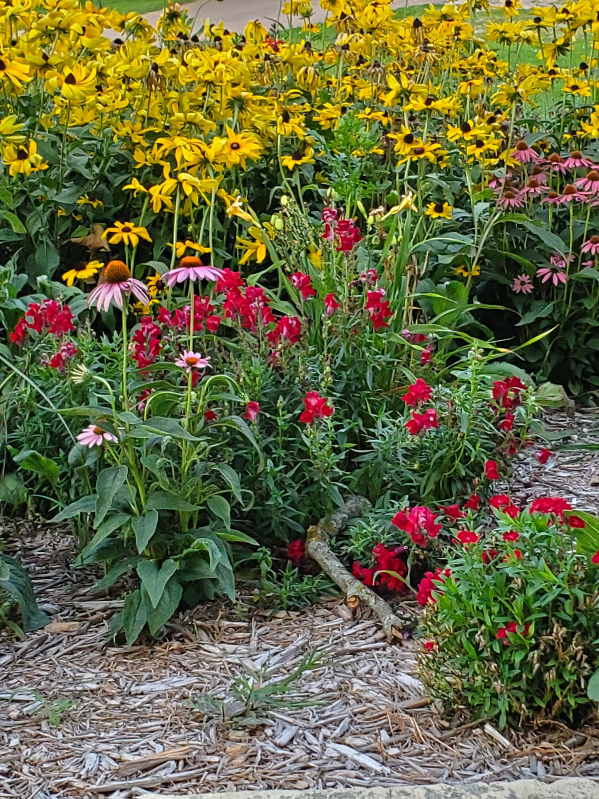 Chautauqua Municipal Park - Beatrice