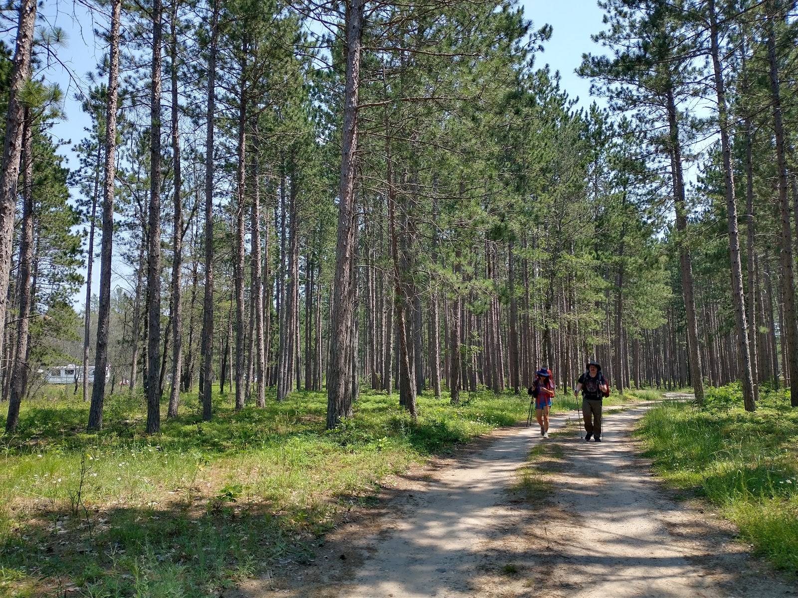 McKinley Horse Trail Campground