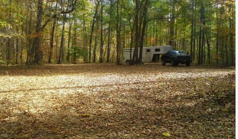 Ocmulgee WMA Camping