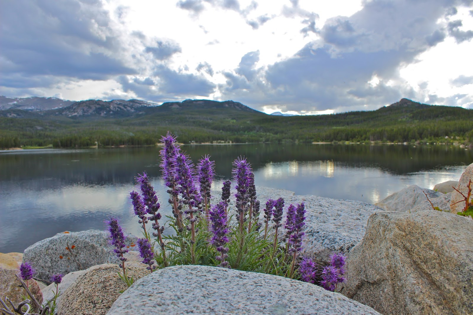 Worthen Meadow Campground