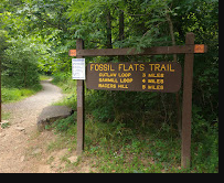 Fossil Flats Trail