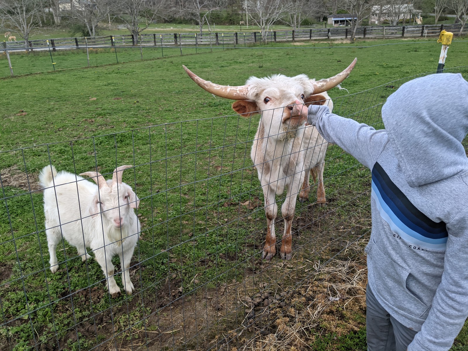 Holly View Farm Campground