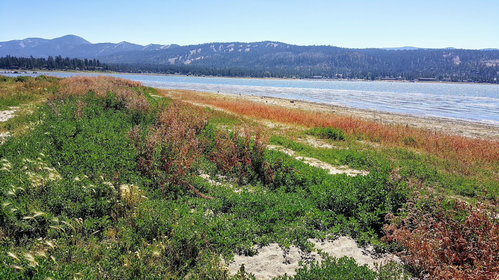 Big Bear Shores RV Resort