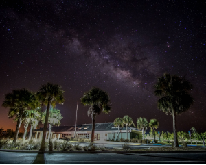 Bear Island - Big Cypress National