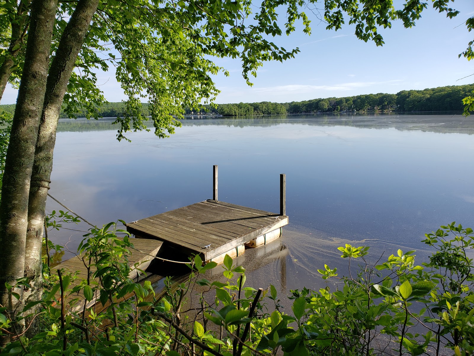 Lake Williams Campground Association, Inc.