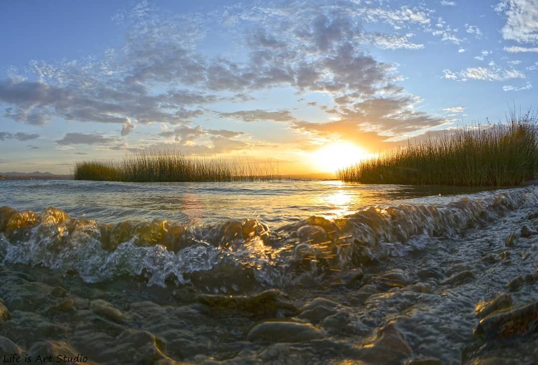 Lake Havasu/Windsor Beach Campground