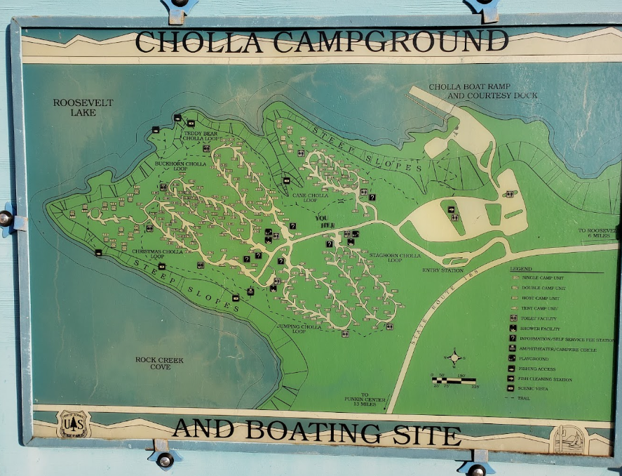 Cholla Campground