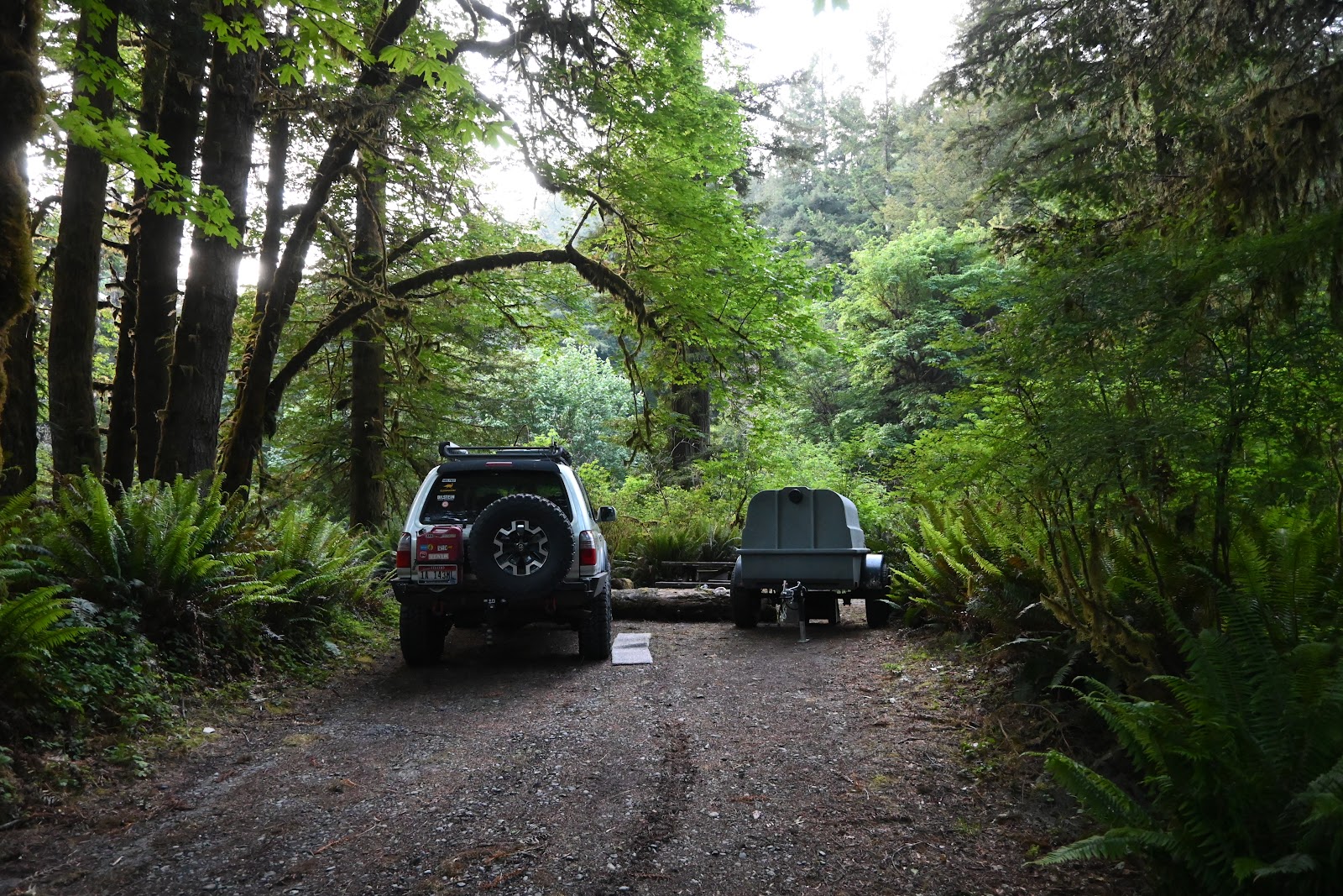 Mill Creek - Redwood National and State Park