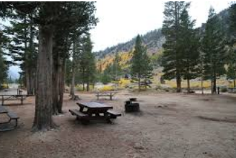 Palisades Group Campground