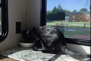 KOA Holiday Jennings