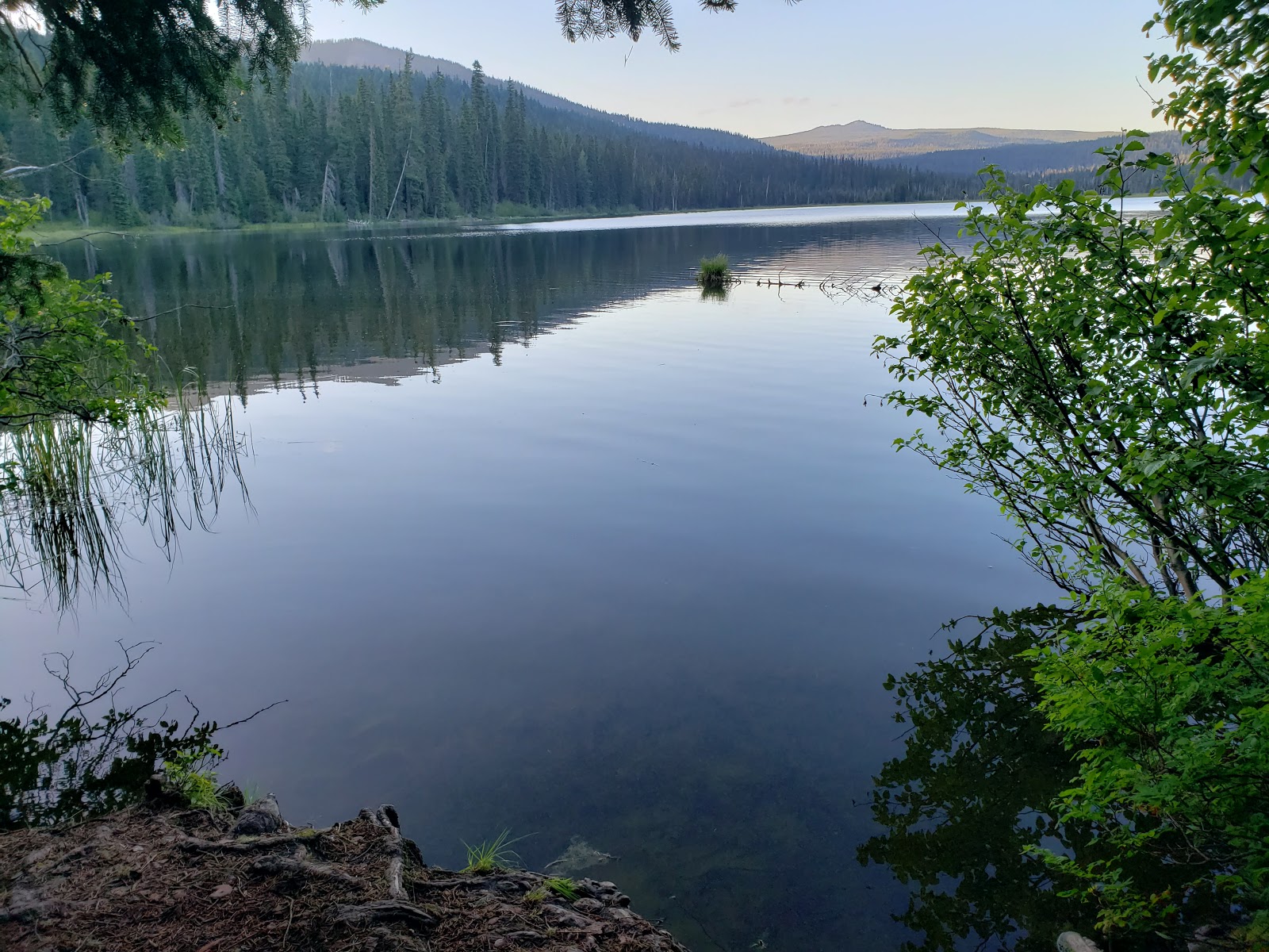Gold Lake Campground