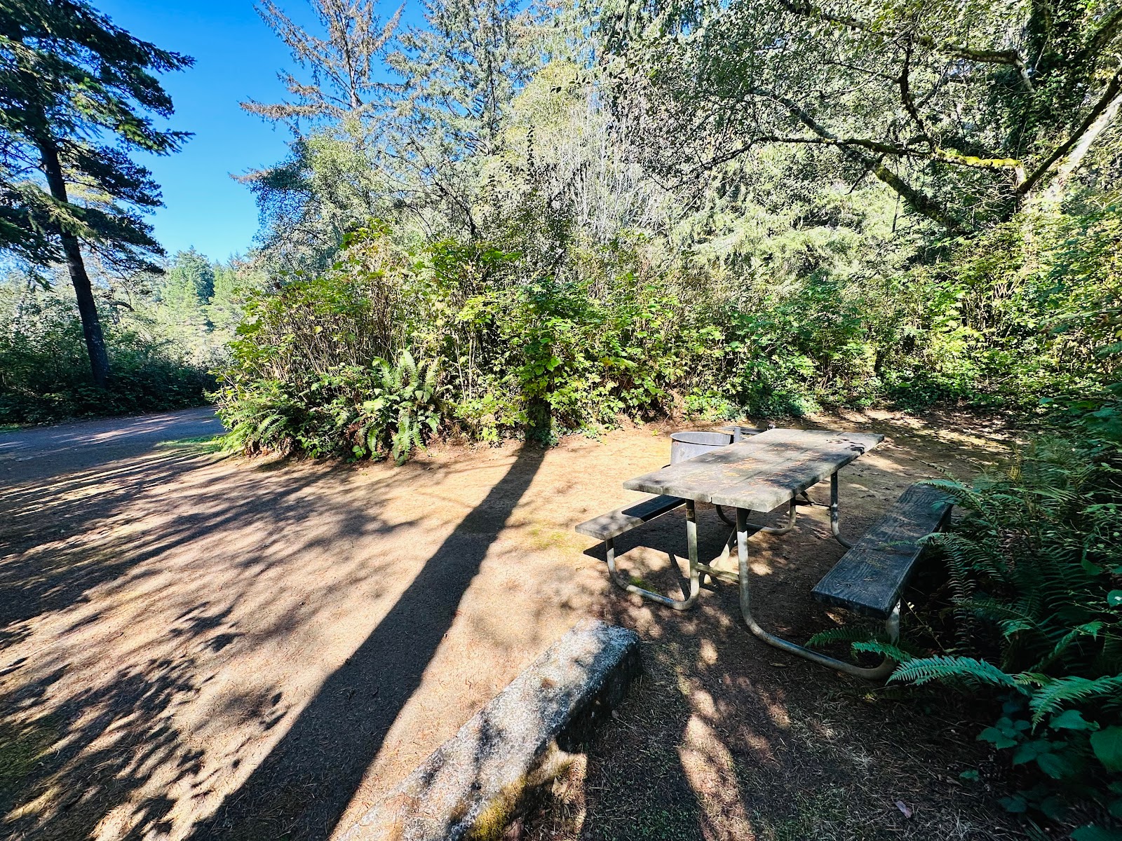Alder Dune Campground
