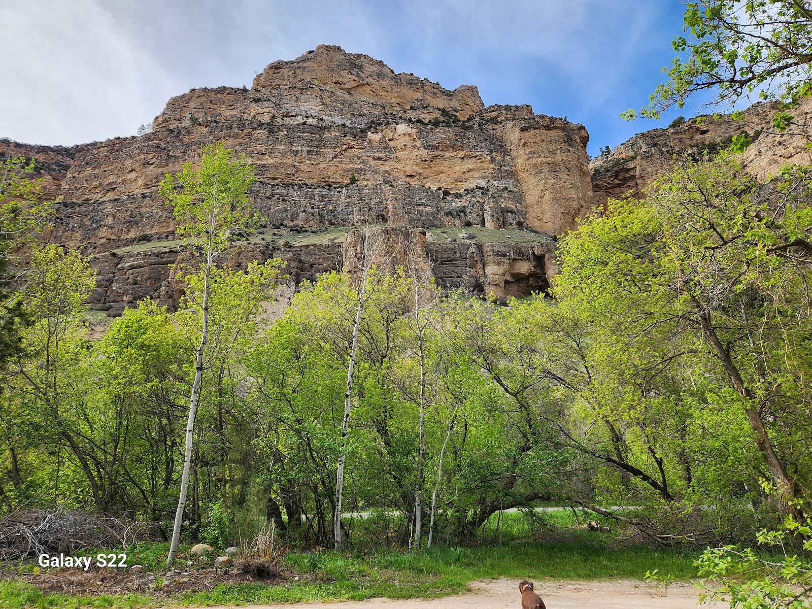 Leigh Creek Campground