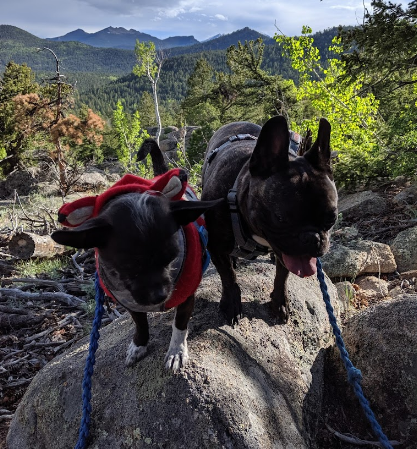 Hermit Open Space County Park Hermits Hollow