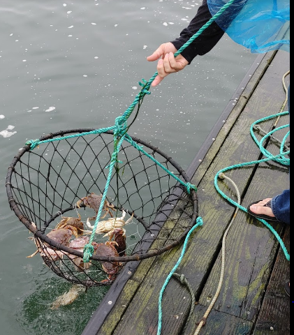 Jetty Fishery Marina and RV Park