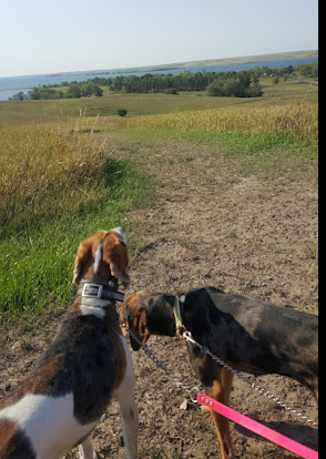 Indian Creek Recreation Area