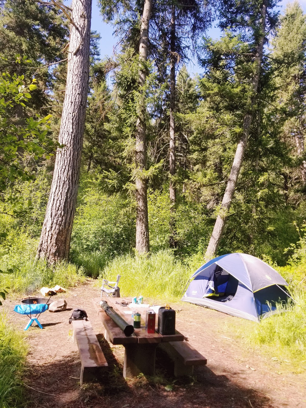 Lolo Creek Campground and Picnic Area