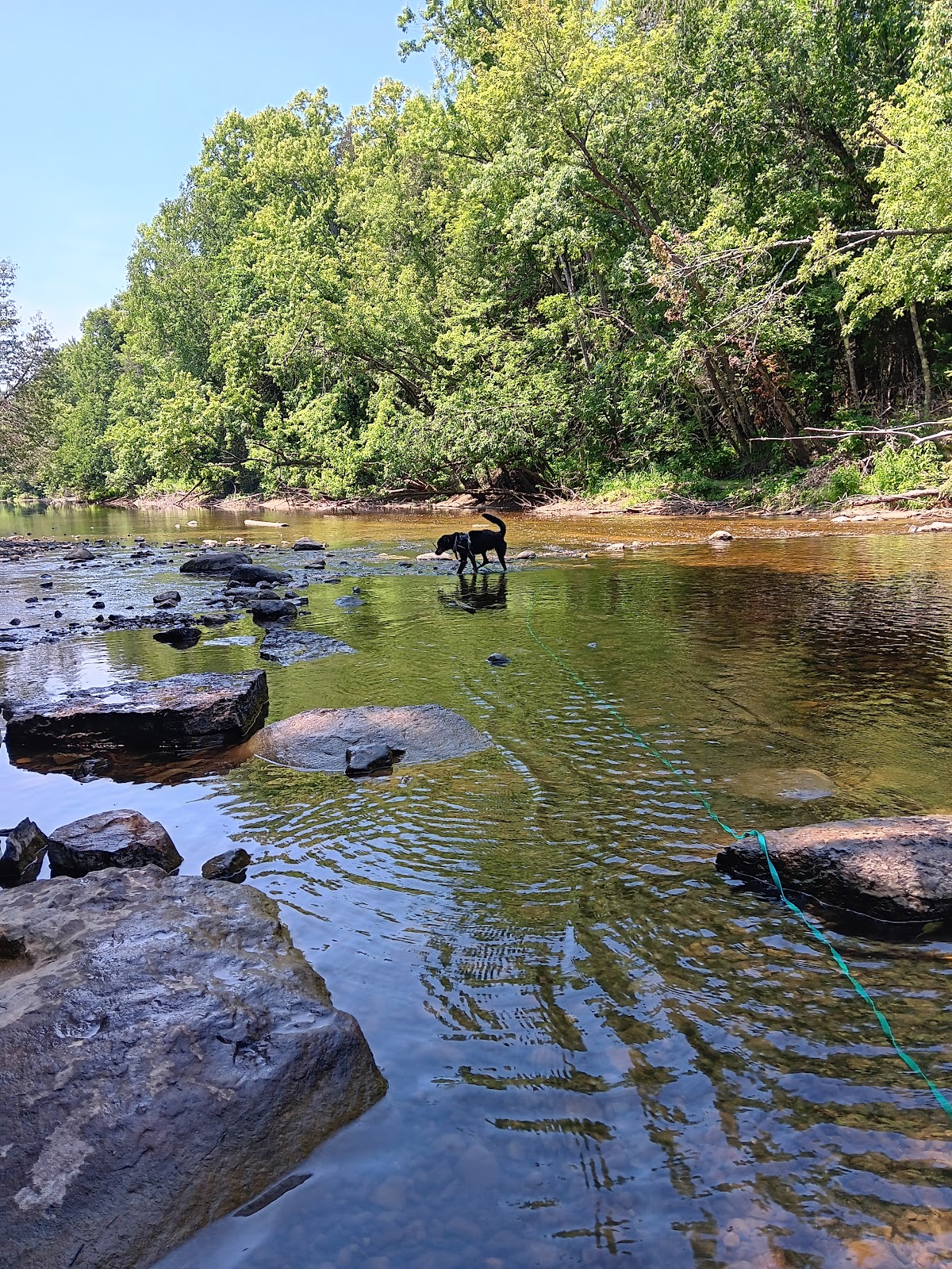 Cedar River North Equestrian SF Campground